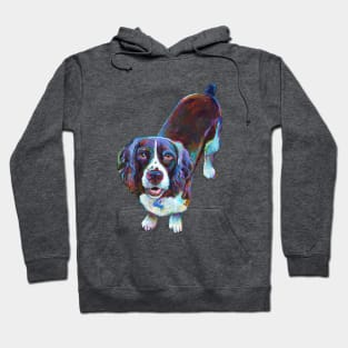 Colorful Cocker Spaniel by Robert Phelps Hoodie